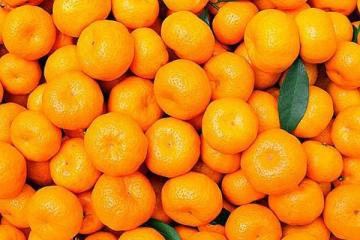 小橘子的功效与作用小桔子的功效与作用